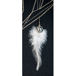 Boucles d'oreilles en...